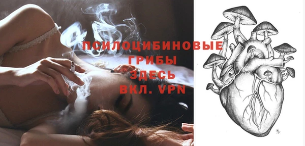 амф Белокуриха